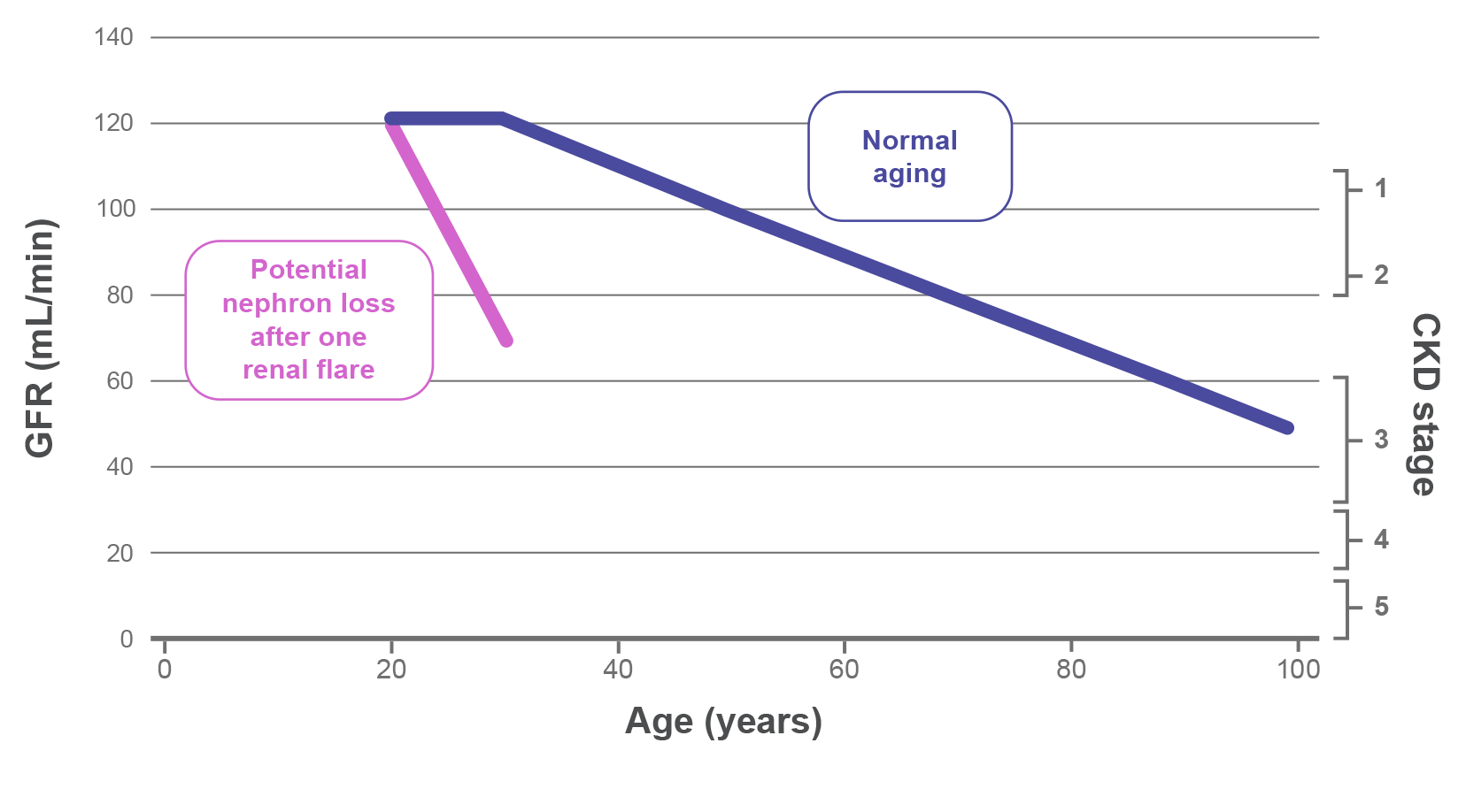 Chart showing how just one renal flare could shorten a kidney's lifespan by decades Chart showing how just one renal flare could shorten a kidney's lifespan by decades
