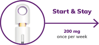 Start and Stay Start and Stay
