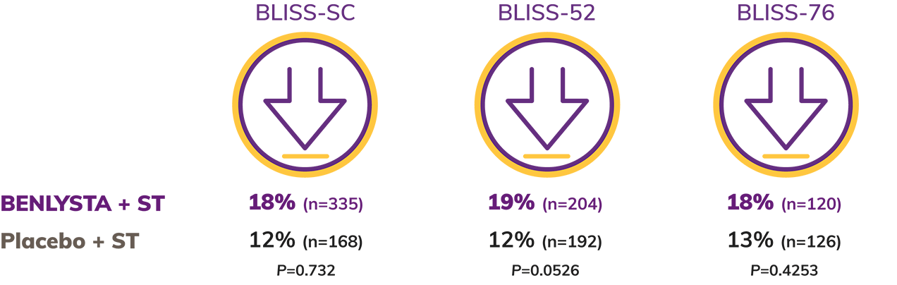 Adult SLE Chart Adult SLE Chart